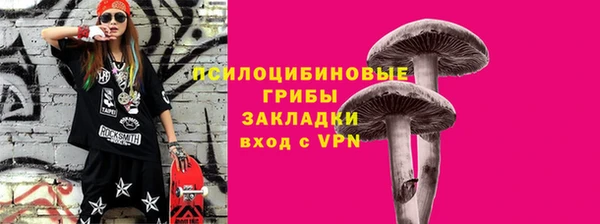 винт Бронницы