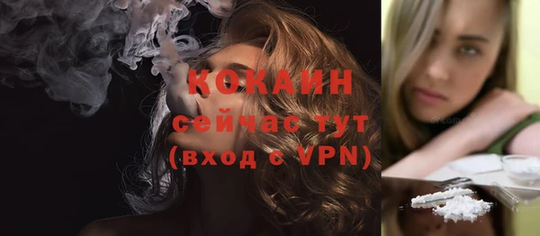PSILOCYBIN Бородино