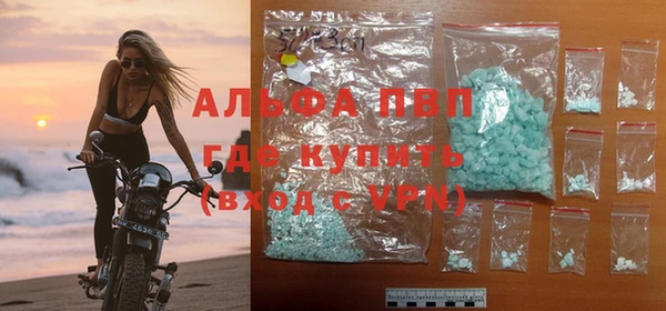 PSILOCYBIN Бородино