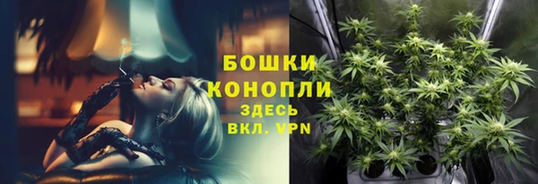 PSILOCYBIN Бородино