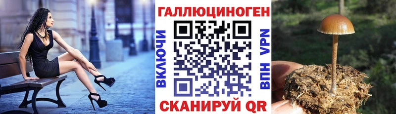 Псилоцибиновые грибы Magic Shrooms  Вилючинск 