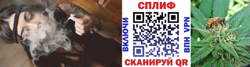 Канабис White Widow  что такое   Вилючинск 
